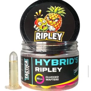 Tactica Baits Hybrid’s Ripley 15mm 150ml