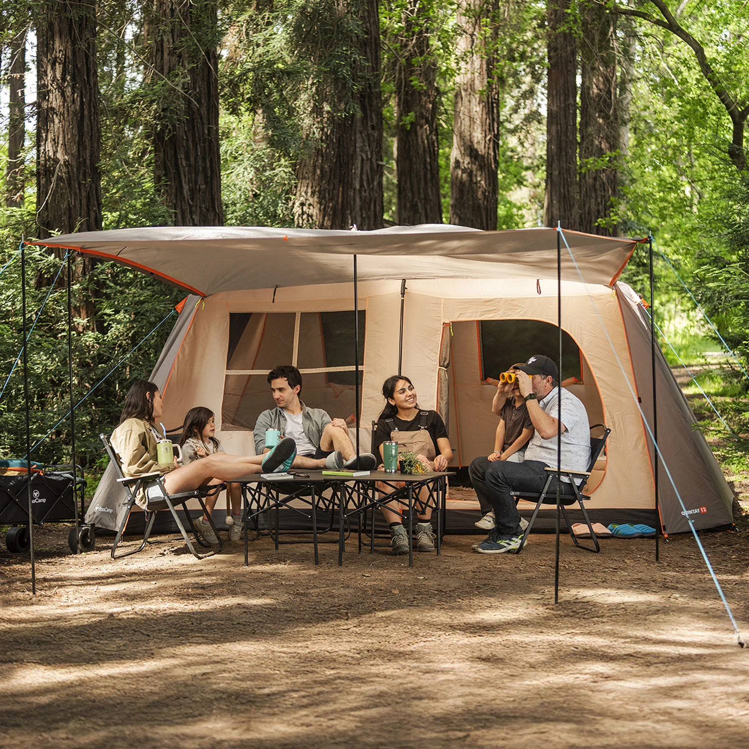 Carpa Camping Quintay 12 Personas 3000 Mm Cubre Techo Largo Toldo Extendido - Imagen 9