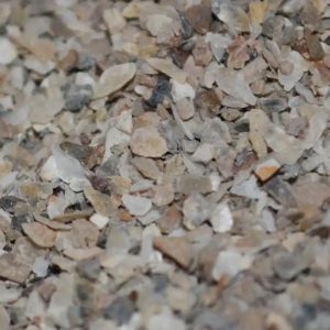 Massive Baits Fine Oystershell Crushed 1kg