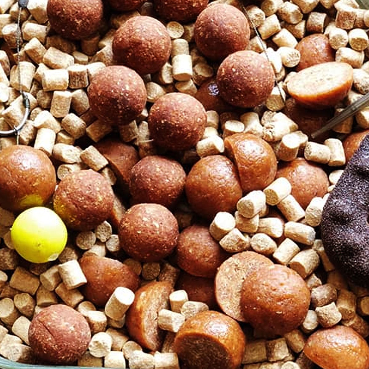 SBS Attract Betain Carp Garlic Pellets 6mm 1kg - Imagen 3