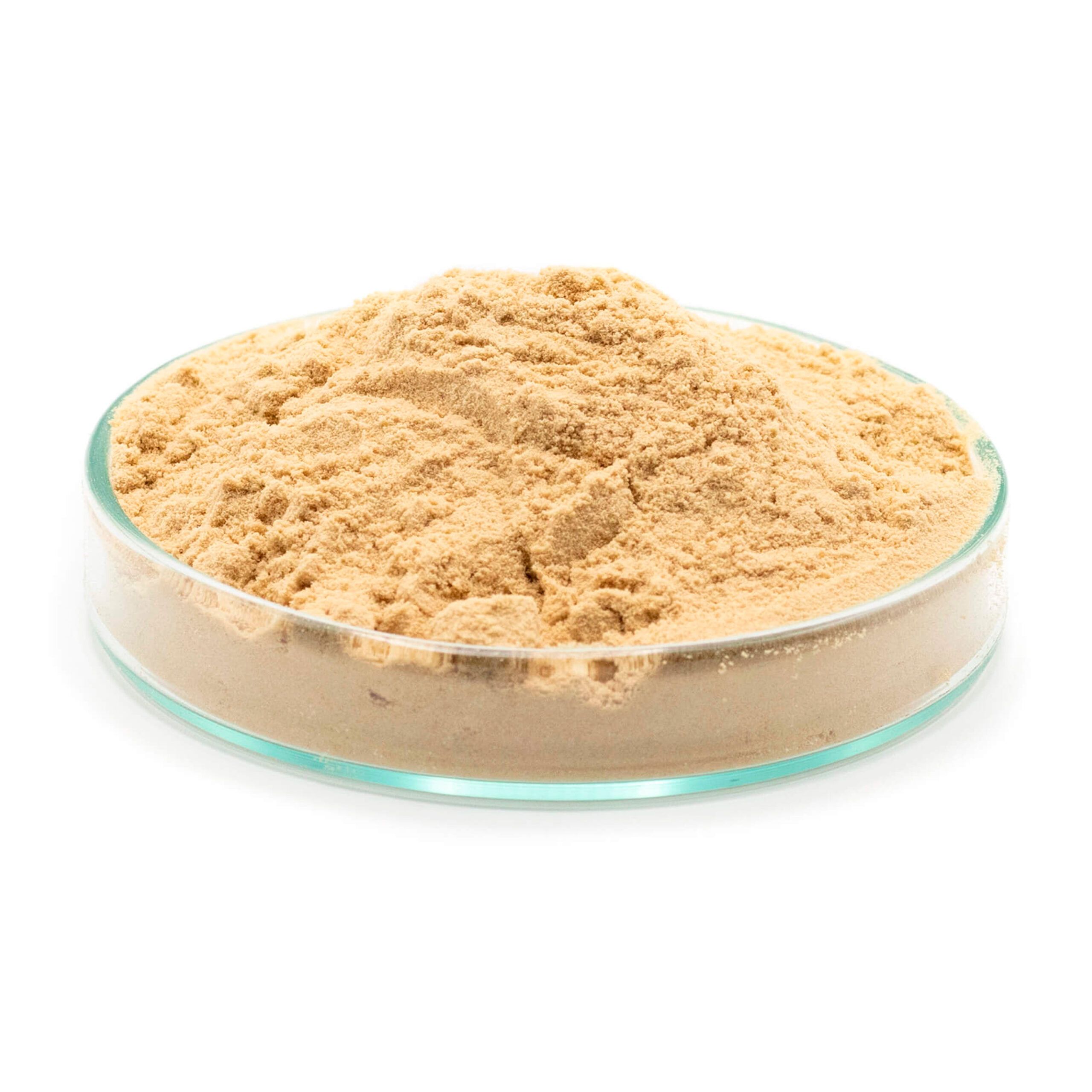 FeedStimulants Yeast Culture Brocacel 250gr - Imagen 3