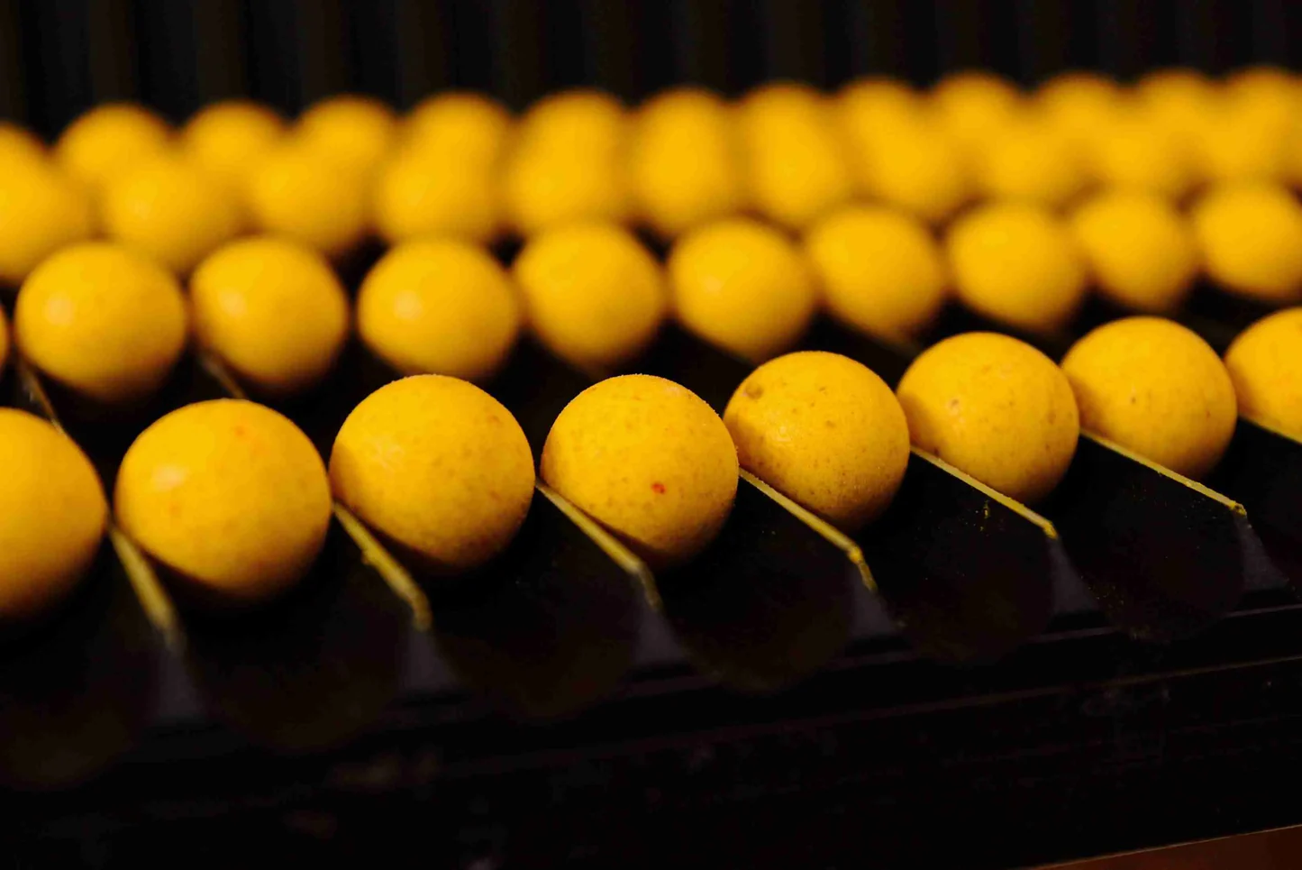 Forgotten Flavours Cassien Classics pop-ups 15mm - Imagen 5