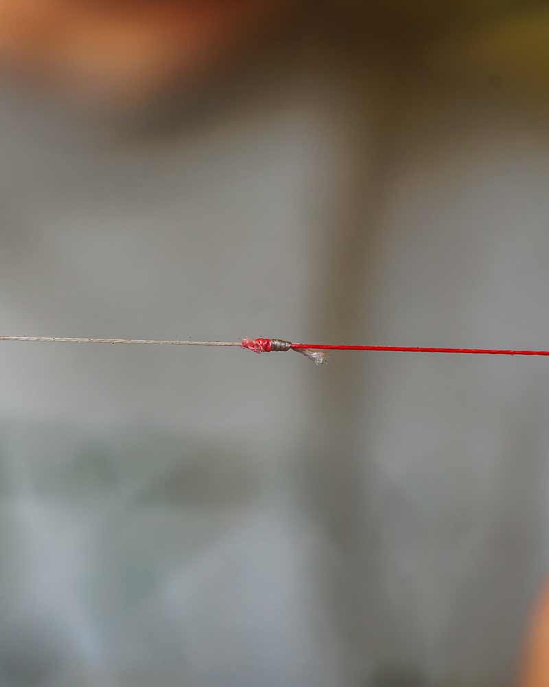 Fox Spomb Tapered Braided Leader – Rojo - Imagen 5