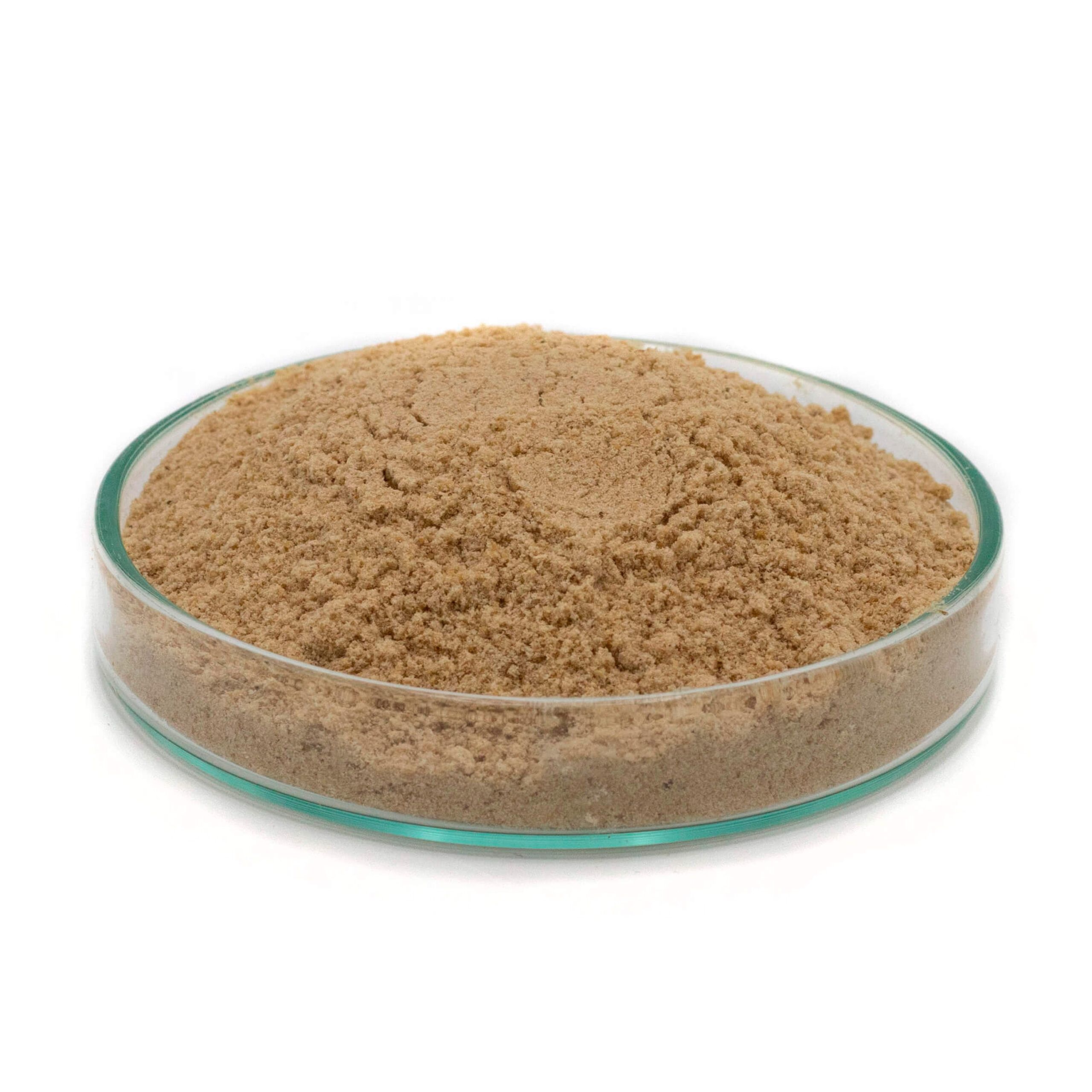 FeedStimulants Squidstim 250gr - Imagen 3